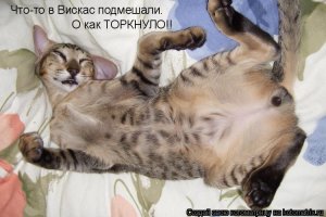 Крутая реклама духов с Маргарет Куолли