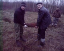 фигня это, вот это находочка (из нашего))