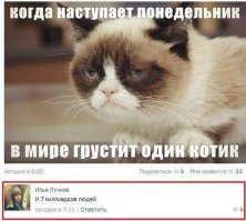 Кото-пост