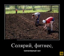 Картофельфест 