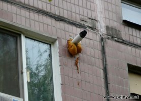 Да так... показалось