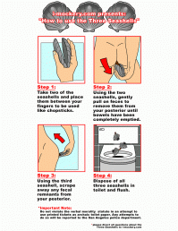 Загадка трех ракушек