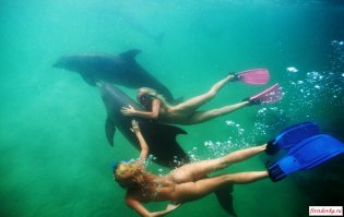 Парень сделал крутое селфи с горбатым китом