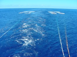 Внутри у него вот так все выглядит. Сейсмокосы и барованы