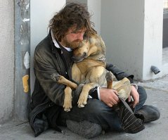 Не очень понятно что случилось с белой собачкой, надеюсь ее забрали что бы полечить :) Но собачья дружба это очень распространенное явление - Хатико, например, это не сказка :)
... да, и вообще :)