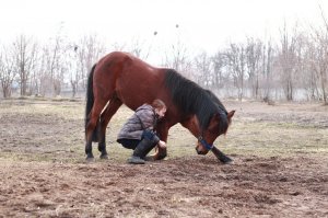 А мы тоже так умеем)