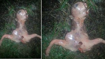 Ну да, все и так знают, что это "плод инопланетянина", ну на крайняк "зародыш".