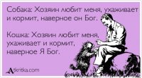 Всё для котеек
