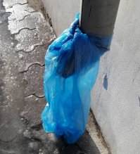 Бахилы наденьте, пожалуйста.