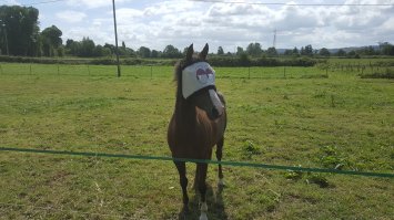 Из личного:)