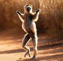 Смешные комменты из соцсетей и другие приколы нашего интернета