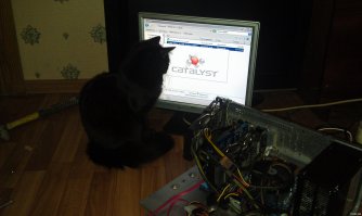Мой одминский котэ!