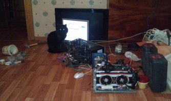 Мой одминский котэ!