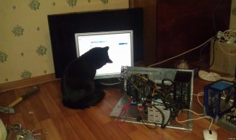 Мой одминский котэ!