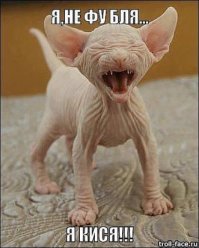 Как взрослела Эмма Уотсон (100 фото)