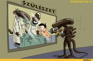 Если бы люди рожали как животные