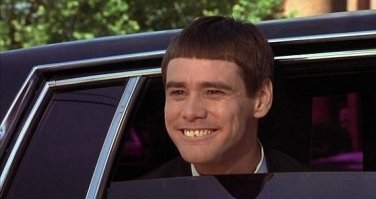 15 безумно фотогеничных домашних питомцев