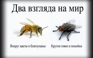Каждый определяет для себя сам.