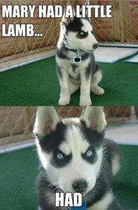 На вот этого похож :)