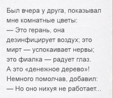 Смешные комменты из соцсетей и другие приколы нашего интернета