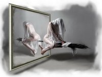 Интересные и необычные иллюстрации