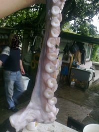 Вот только поймали)