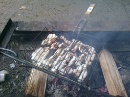 Ездил в Приморье к другу на Хасанский район) Жарили там такое на углях,к пиву) Сами ловили даже) Норм) Но не много жуется как резина)