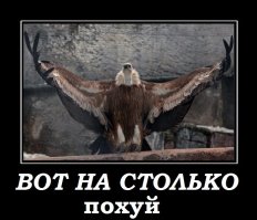 Возвращение Promettes-помощников туристов в Брайтоне