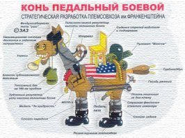 Вместе с друзьями