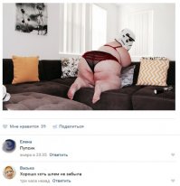 Смешные комментарии из социальных сетей