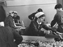 В российских школах введут уроки трудового воспитания