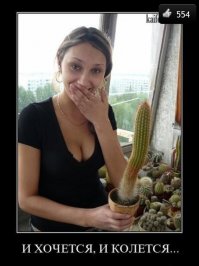 Вот что называется "и хочется и колется"