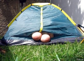 С такими видами из палатки каждое утро становится прекрасным