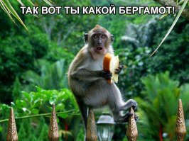 Интересные факты в картинках и фотографиях. Часть 2