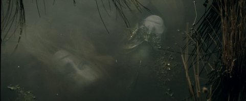  Почему болото засасывает?