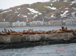 Город Невельск....