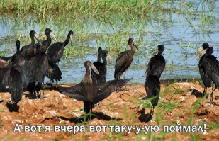 Рыбалка по-чукотски