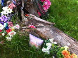 в том году фотографировал на месте крушения