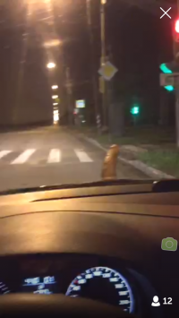 Транса из periscope) Гаишники пофоткали и отпустили)