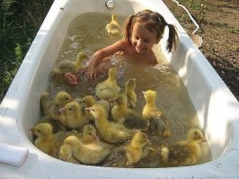 Есть ещё варианты...