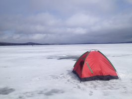 вот вид из палатки зимой, Нижний Тагил