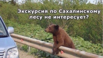 Природа Сахалина 