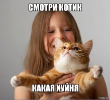 Озабоченность современного общества просто зашкаливает