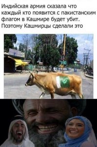 нужно за это грузовой самолёт набить свиньями и открыть аппарель над пакистаном