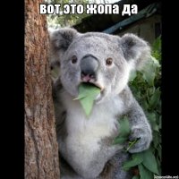 А у  меня больше! Русская модель готова подвинуть бедром Ким Кардашьян