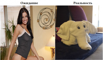 Как затроллить консьержа в отеле: самые смешные капризы постояльцев, которые были исполнены