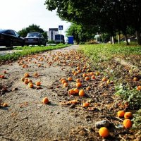 ребят, не обижайтесь. но у нас действительно так. а привести к вам не можем - далеко, таможня, налоги ...