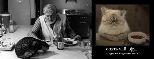 Фотоподборка фото известных личностей