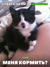 Хорош чертяка, грамотно намекает)