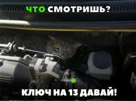 Глупый кот. Там на 12 ключ нужен!!